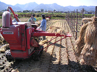 クリックすると大きな画像が出てきます。