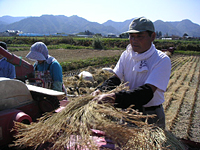 クリックすると大きな画像が出てきます。