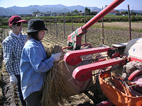 クリックすると大きな画像が出てきます。