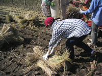 クリックすると大きな画像が出てきます。