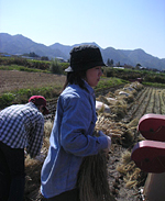 クリックすると大きな画像が出てきます。