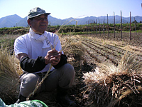 クリックすると大きな画像が出てきます。