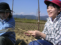 クリックすると大きな画像が出てきます。