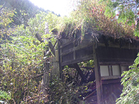 クリックすると大きな画像が出てきます。