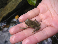 クリックすると大きな画像が出てきます。