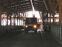 クリックすると大きな画像が出てきます。