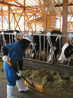 クリックすると大きな画像が出てきます。