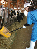 クリックすると大きな画像が出てきます。