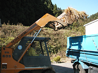 クリックすると大きな画像が出てきます。