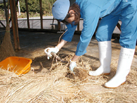 クリックすると大きな画像が出てきます。