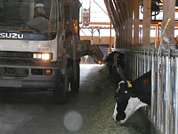 クリックすると大きな画像が出てきます。