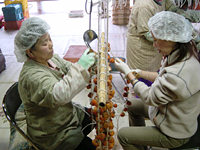 クリックすると大きな画像が出てきます。