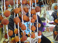 クリックすると大きな画像が出てきます。