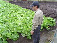 クリックすると大きな画像が出てきます。