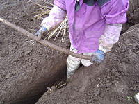 クリックすると大きな画像が出てきます。