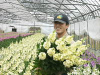 クリックすると大きな画像が出てきます。