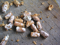 クリックすると大きな画像が出てきます。