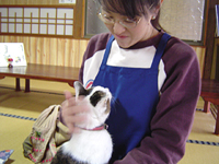 クリックすると大きな画像が出てきます。