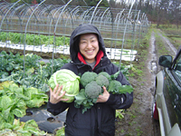 クリックすると大きな画像が出てきます。