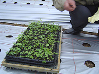 クリックすると大きな画像が出てきます。