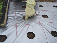 クリックすると大きな画像が出てきます。