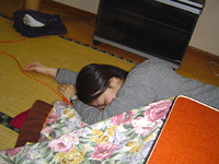 クリックすると大きな画像が出てきます。