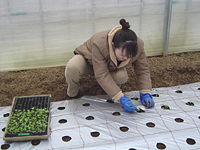 クリックすると大きな画像が出てきます。