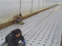 クリックすると大きな画像が出てきます。