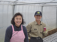 クリックすると大きな画像が出てきます。