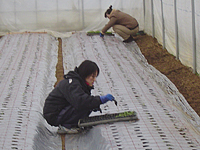 クリックすると大きな画像が出てきます。