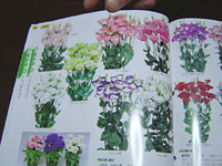 クリックすると大きな画像が出てきます。