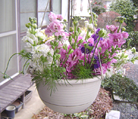 クリックすると大きな画像が出てきます。