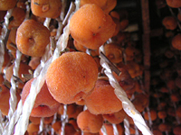 クリックすると大きな画像が出てきます。