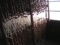 クリックすると大きな画像が出てきます。