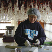 クリックすると大きな画像が出てきます。