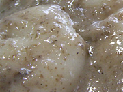 クリックすると大きな画像が出てきます。