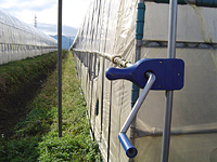 クリックすると大きな画像が出てきます。