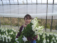 クリックすると大きな画像が出てきます。