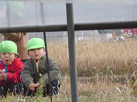 クリックすると大きな画像が出てきます。