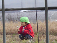 クリックすると大きな画像が出てきます。