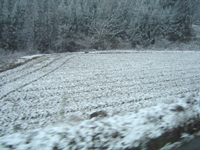 クリックすると大きな画像が出てきます。