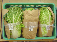 クリックすると大きな画像が出てきます。