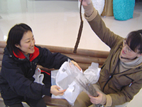 クリックすると大きな画像が出てきます。