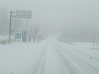 クリックすると大きな画像が出てきます。