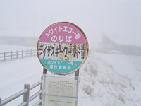 クリックすると大きな画像が出てきます。