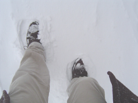 クリックすると大きな画像が出てきます。