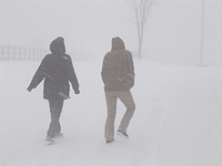 クリックすると大きな画像が出てきます。