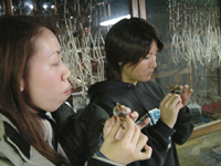 クリックすると大きな画像が出てきます。