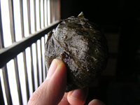 クリックすると大きな画像が出てきます。