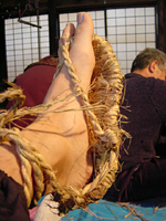 クリックすると大きな画像が出てきます。